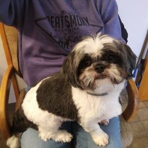 Meet your Posher, Beverly